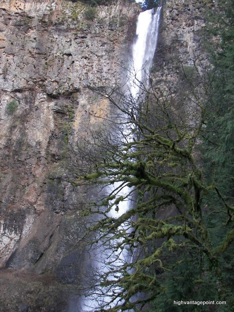 Multnomah Falls from a high vantage point